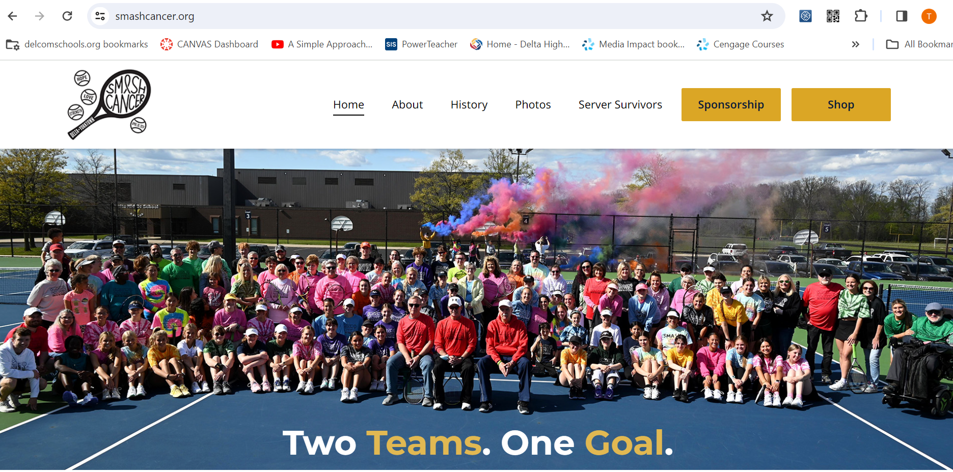 Home page of website